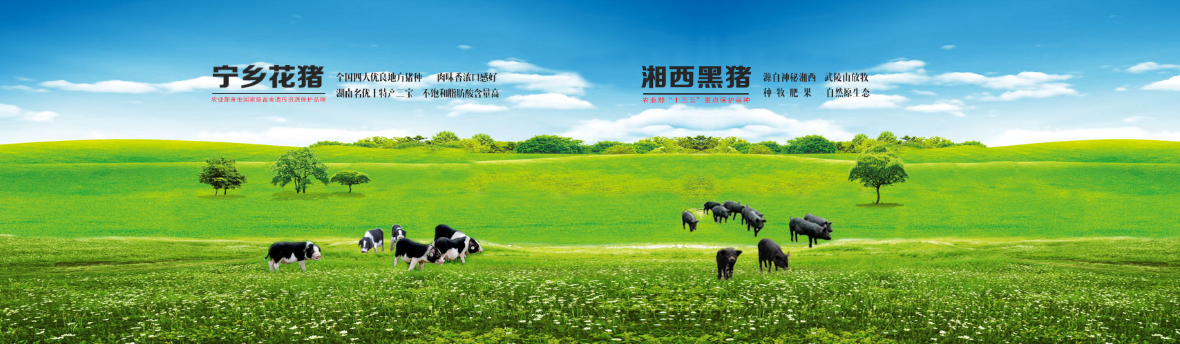 日博集团·(中国区)官方网站