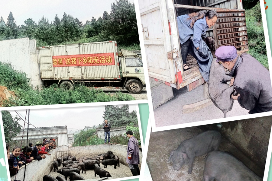 C:\Users\Administrator\Desktop\2018.05.16-236扶贫模式 湘西黑猪变金猪\卓福村.jpg