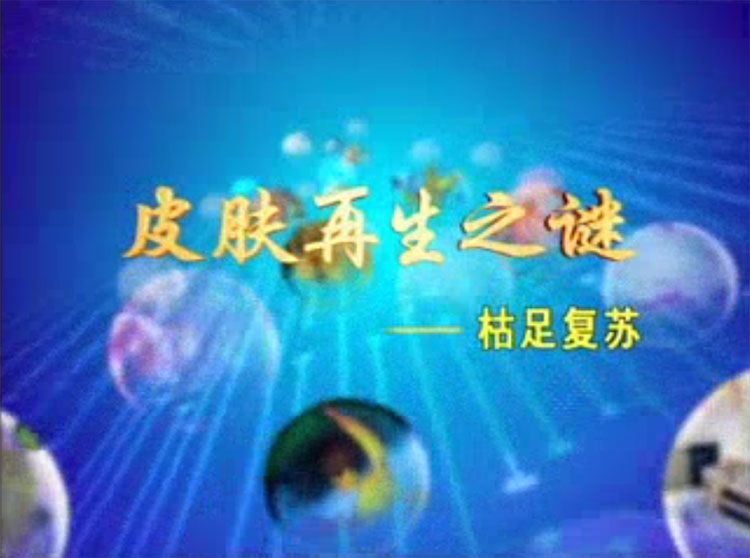 皮肤再生之谜--枯足复苏 