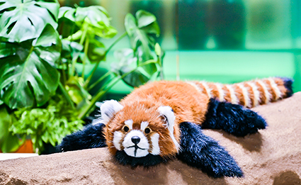 J9集团|国际站官网