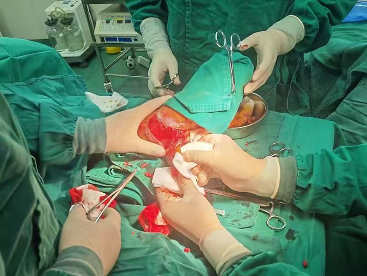 J9集团|国际站官网