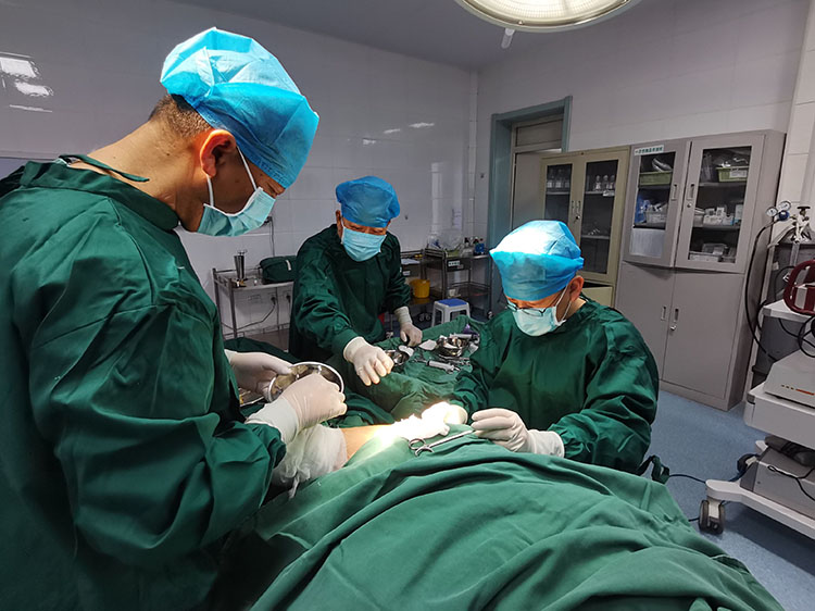 J9集团|国际站官网